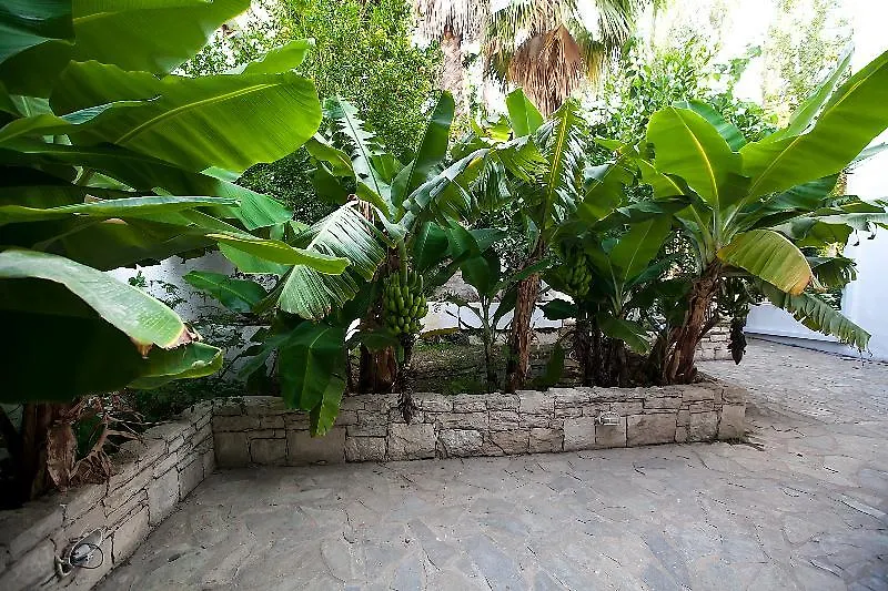 Julia Apartments Rethymno  0*, Rethymno (Crete)